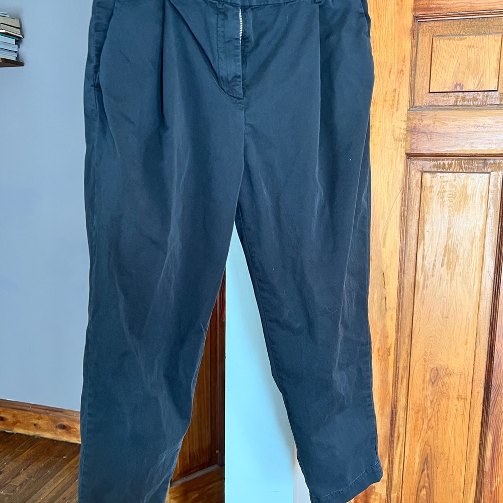 Everlane Pleated Pants